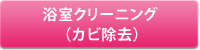 浴室クリーニング （カビ除去）