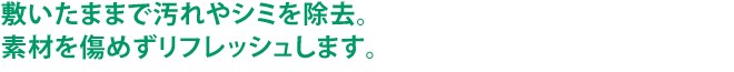 敷いたままで汚れやシミを除去。素材を傷めずリフレッシュします。