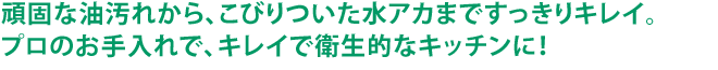 頑固な油汚れから、こびりついた水アカまですっきりキレイ。プロのお手入れで、キレイで衛生的なキッチンに！