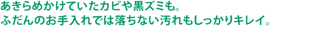 あきらめかけていたカビや黒ズミも。ふだんのお手入れでは落ちない汚れもしっかりキレイ。