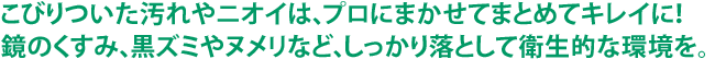 こびりついた汚れやニオイは、プロにまかせてまとめてキレイに！鏡のくすみ、黒ズミやヌメリなど、しっかり落として衛生的な環境を。