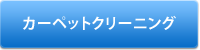 カーペットクリーニング