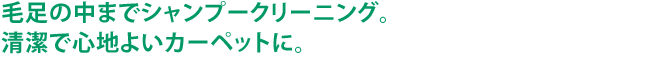 毛足の中までシャンプークリーニング。清潔で心地よいカーペットに。